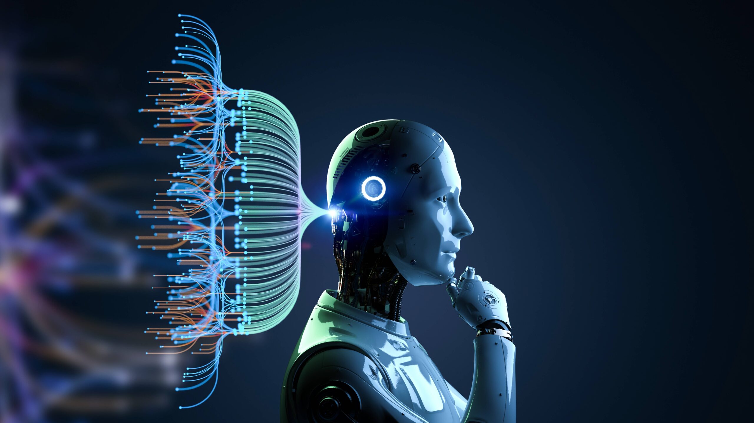 982cee5e-8bea-11ef-a2f0-02420a000c1d